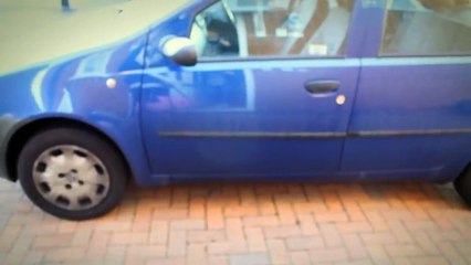 TDM Vlogs   MEET ELLIE THE PUG!   Episode 17