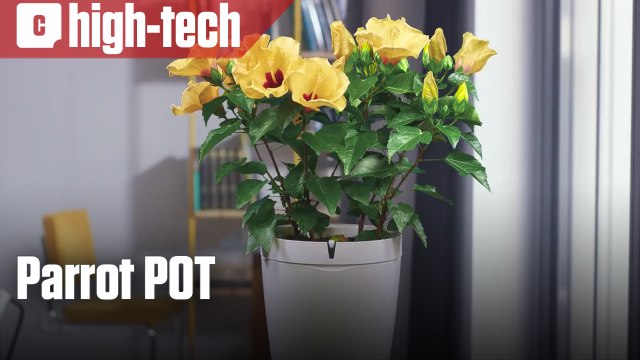 Parrot POT, le pot connecté