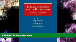 different   Energy, Economics and the Environment