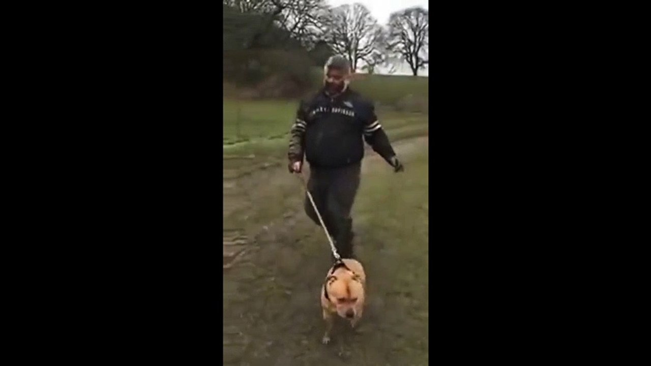 Quand tu ne sais plus si c'est toi qui promène ton chien ou si c'est ton chien qui te promène...