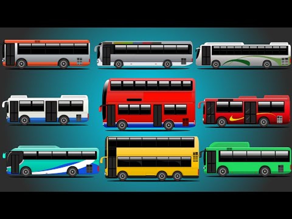 City Buses | Learn Transport of Countries | Bus For Kids | Bus Around The World