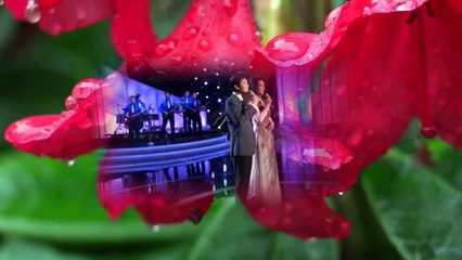 Chuyện Tình Người Trinh Nữ Tên Thi - Hương Thủy, Thái Châu 65X