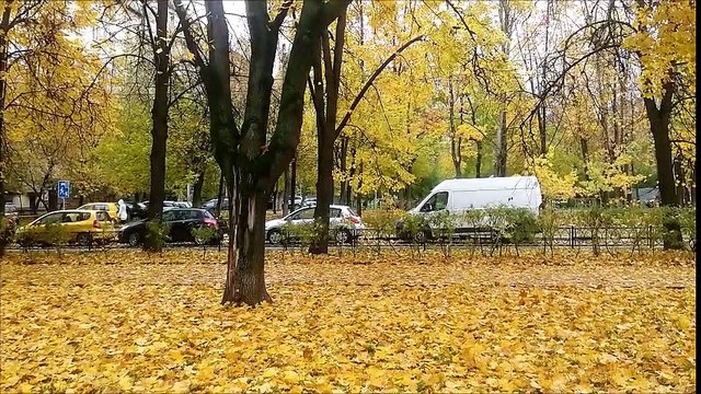 Золотая осень и дождь в столице