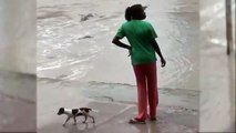 Cette jeune fille sait très bien comment éloigner les crocodiles qui menacent son petit chien !