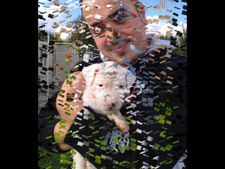 DU DOMAINE DU SAPHIR BLANC (HENZO)