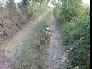 PW 50 & Alf