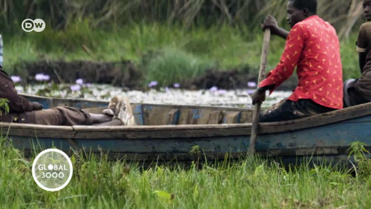 Das Rugezi Moor – Lebensader für Ruanda | Global 3000