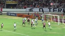 Melhores Momentos - Gols de Santa Cruz 2 x 3 Palmeiras -  Campeonato Brasileiro (03-10-16)