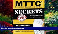 Big Deals  MTTC Elementary Education (103) Test Secrets Study Guide: MTTC Exam Review for the