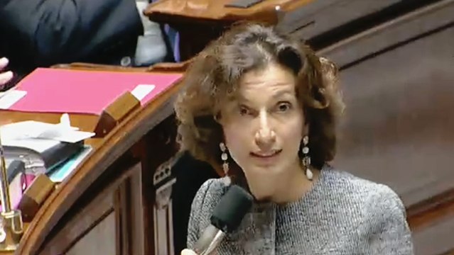 Situation de l'AFP - Questions à l'Assemblée nationale - 4 octobre 2016