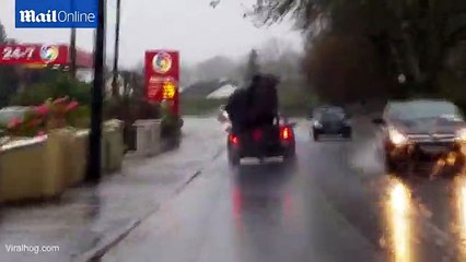 A person trying to move a sofa in the midst of Storm Desmond
