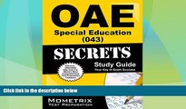 Big Deals  OAE Special Education (043) Secrets Study Guide: OAE Test Review for the Ohio