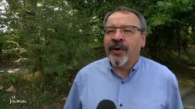 Adapei-Aria : Opération brioches 2016 (Vendée)