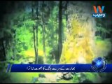Indian army resorts to unprovoked firing at LoC
