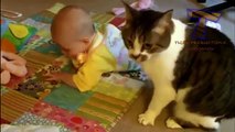 Birlikte Oynamak Komik Kediler Ve Bebekler - Sevimli Kedi Together Playing Funny Cats And Babies - Cute Cats