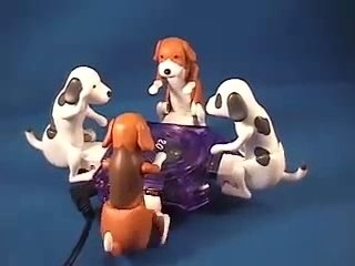 USB Humping Dog Gang Bang