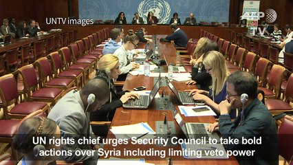 UN rights chief urges Security Council veto limit over Syria