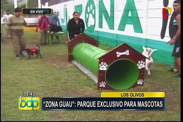 Los Olivos: inauguran parque exclusivo para mascotas
