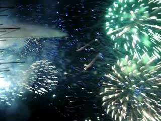 Fête de Genève 2007