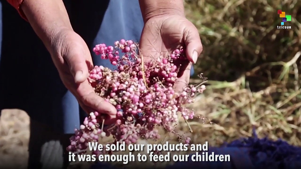 Las Bambas Cooper Mine in Peru: A Tragedy for I...