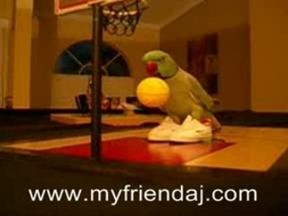 AJ Practicing Some Basketball