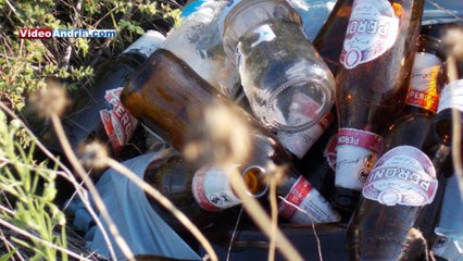 Trovate ad Andria decine di zucche abbandonate, uno spreco indecente