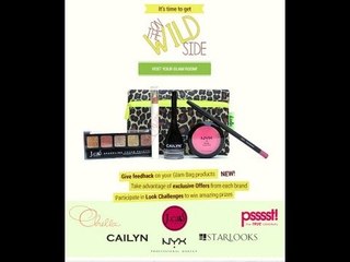 June 2013 ipsy/myglam bag