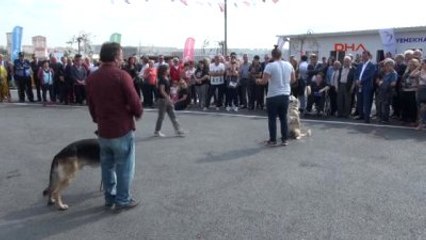 Türkıye'nin En Kapsamlı Hayvan Bakım Evi Beylikdüzü?nde Acıldı