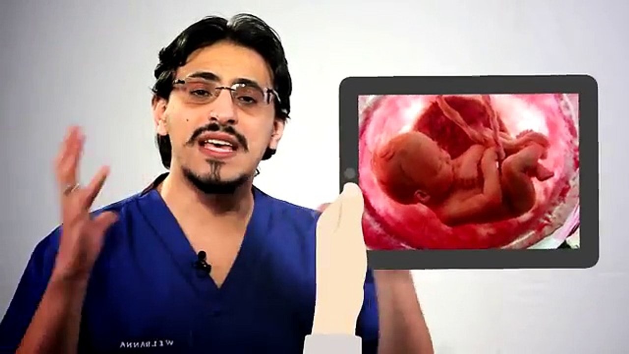 الجماع اثناء الحمل