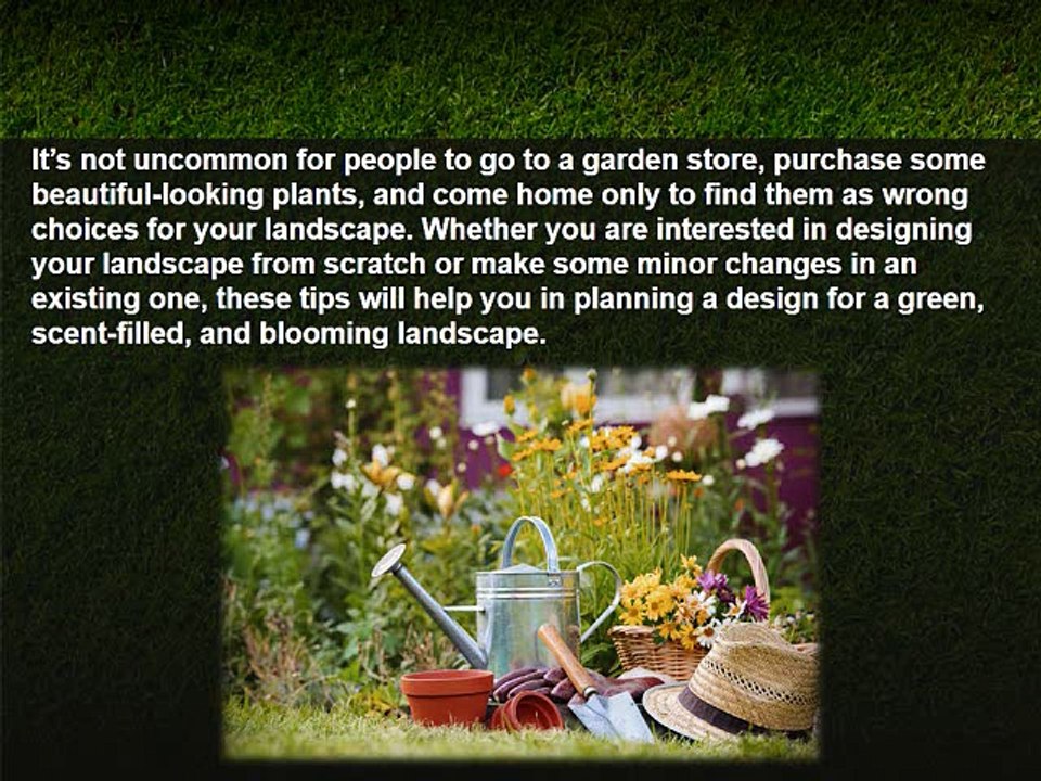 Plan Your Landscape Design with These Great Tips