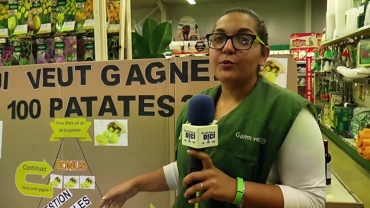 Hautes-Alpes : Gros préparatifs pour la fête de la patate d'Embrun