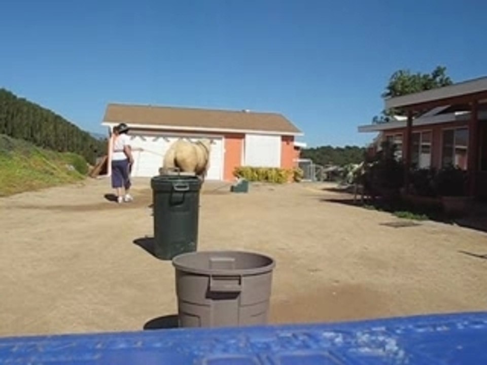 Charm Weaves the Barrels