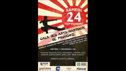 Ki Shin Tai Gala salon-de-provence 24 septembre 2016