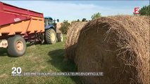 Agriculteurs : comment l'État va les aider