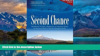 Big Deals  The Second Chance  Best Seller Books Most Wanted