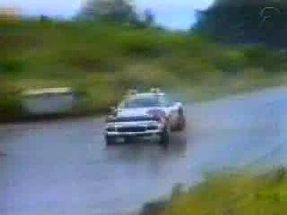 Rally