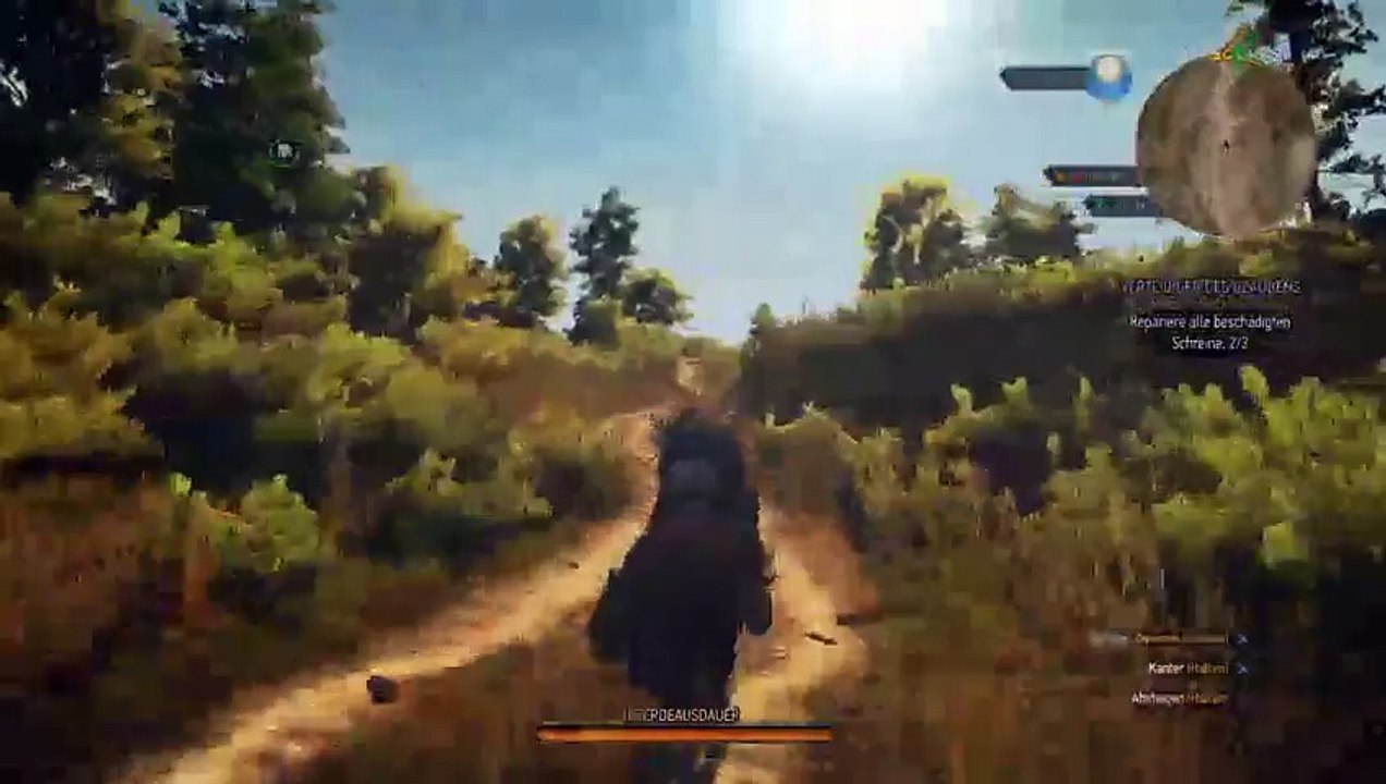 Witcher noob teil 7 (13)