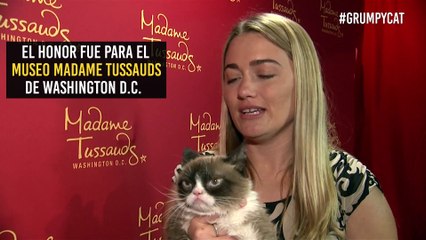 Grumpy cat: Cuando la ‘mala cara’ te hace ganar millones de dólares