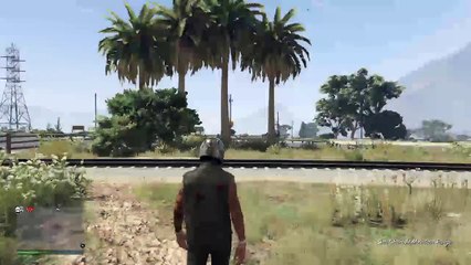 paulpz810's Live PS4 G.T.A.5 (307)