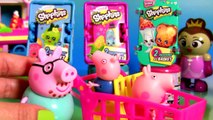 Peppa Pig & George Go Shopping Shopkins Surprise Baskets + Fashems Disney Frozen Mashems Paw Patrol