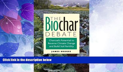 Big Deals  The Biochar Debate: Charcoal s Potential to Reverse Climate Change and Build Soil