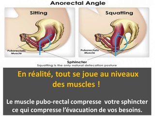 Et si on vous disait que vous n'avez jamais fait caca correctement ? Après cet article, ça va changer !