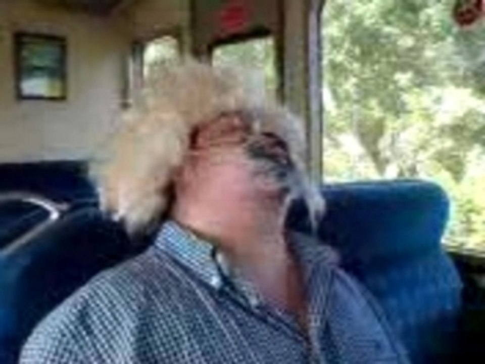 Lager Holiday On A Train