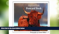 Big Deals  Highland Cow Postcard Book  Free Full Read Most Wanted