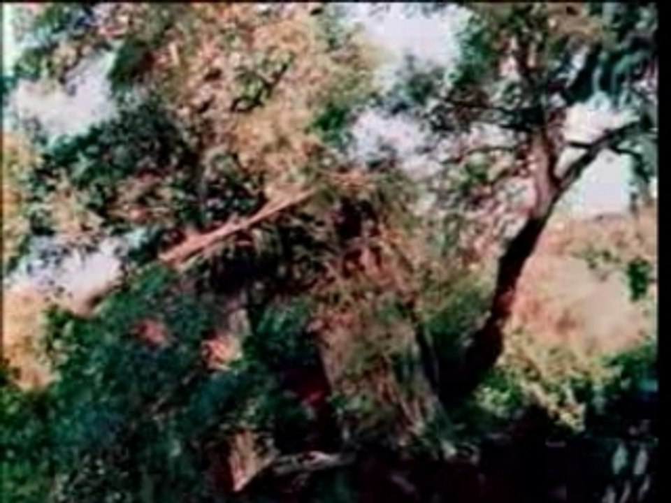 Pubs Pepito ( Mars1998)