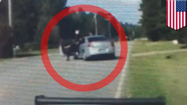 Elle se fait électrocuter, puis roule sur un policier