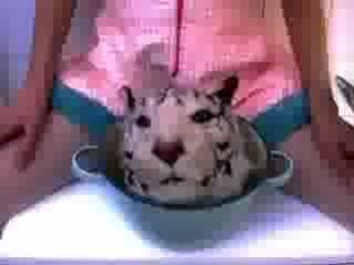 Taste my flakes