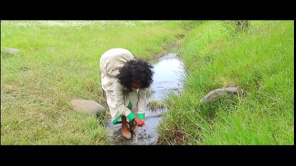 Aynalem Hadush -KUMEL ኩመል New Tigrigna Traditional Music 2015