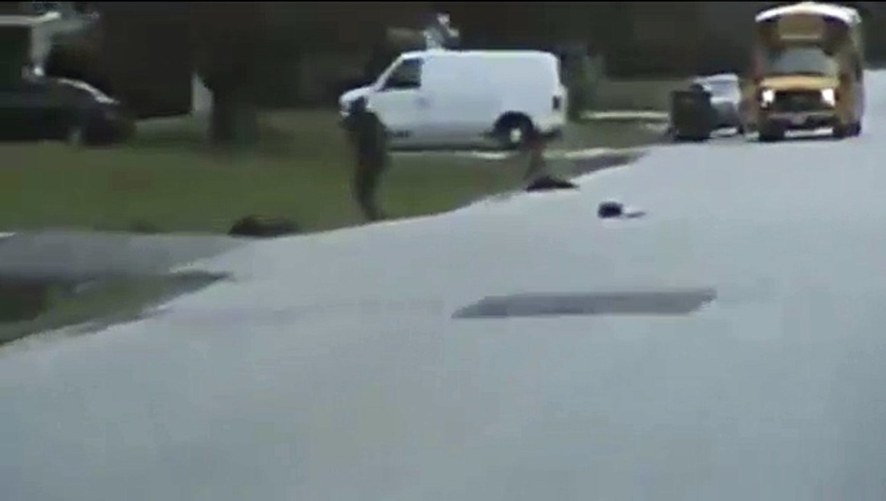 Dashcam Shows Pitbull Attack